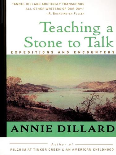 Teaching a Stone to Talk