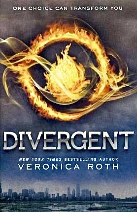 paperback edition cover