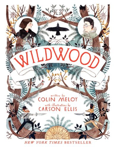 paperback edition cover