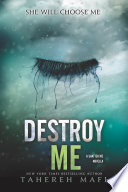 Destroy Me cover
