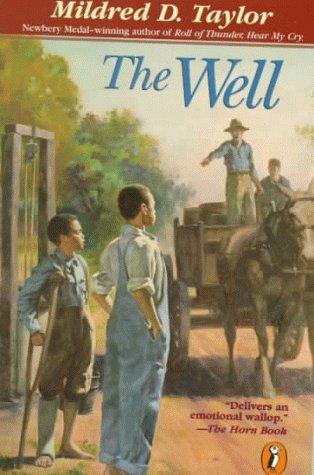 Cover of The Well: David's Story