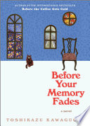 Before Your Memory Fades cover