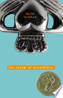 The Realm of Possibility