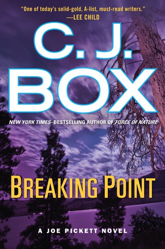 paperback edition cover