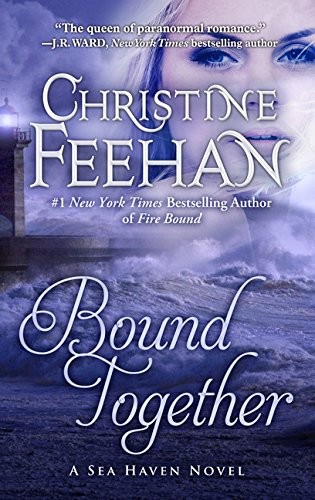 paperback edition cover