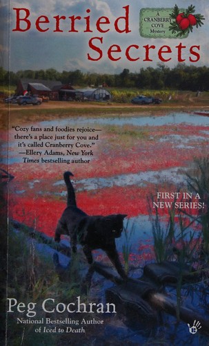 paperback edition cover