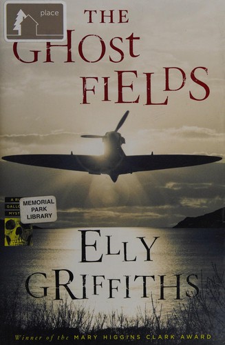The Ghost Fields cover