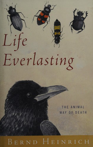 Life Everlasting
