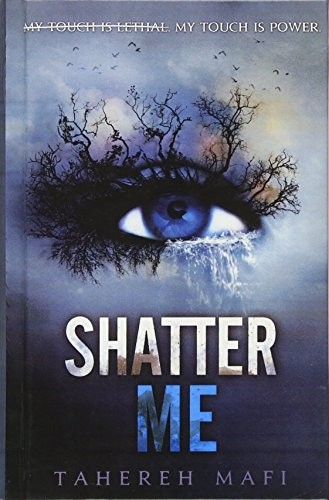 paperback edition cover