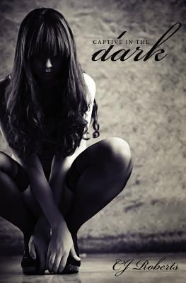 Captive in the Dark cover
