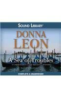A Sea of Troubles