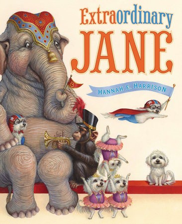 Ordinary Jane