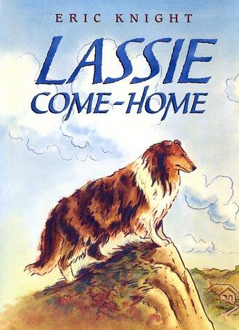 hardcover edition cover