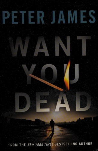 paperback edition cover