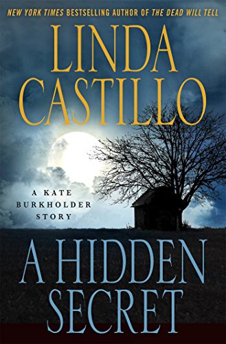 A Hidden Secret cover