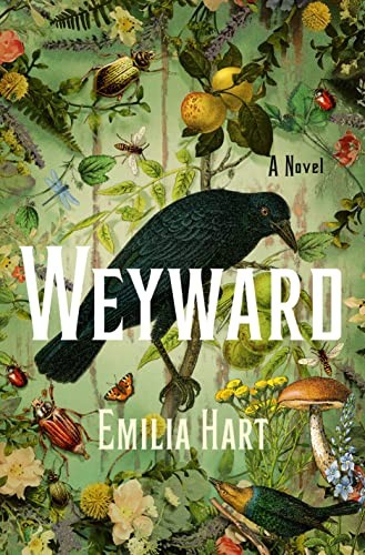 paperback edition cover