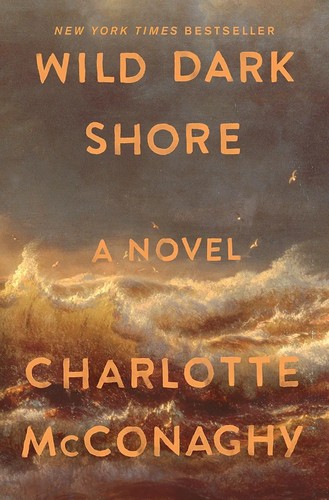 paperback edition cover