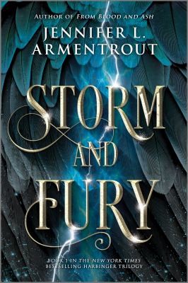 Storm and Fury cover