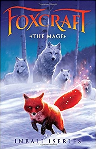 Cover of The Mage