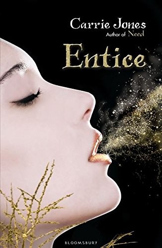 Entice cover