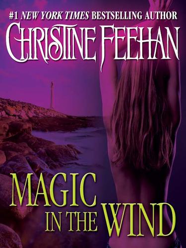 Magic in the Wind cover