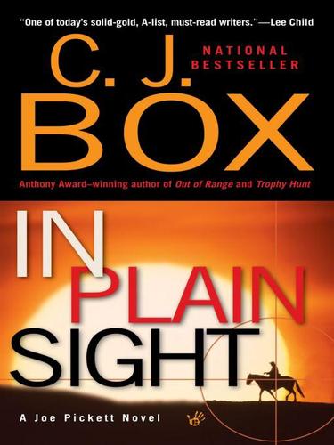 Cover of In Plain Sight