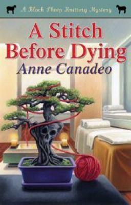 A Stitch Before Dying cover