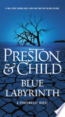 Blue Labyrinth cover