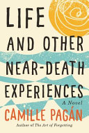 Life and Other Near-death Experiences