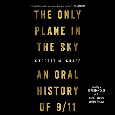 Cover of The Only Plane in the Sky