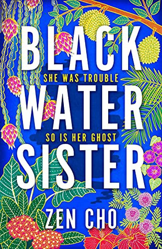 paperback edition cover