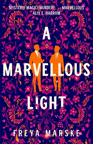 A Marvellous Light cover