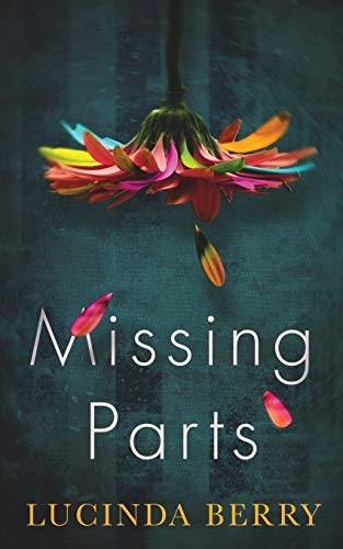 paperback edition cover
