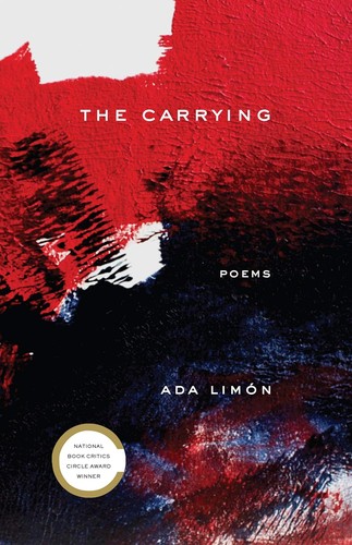 paperback edition cover