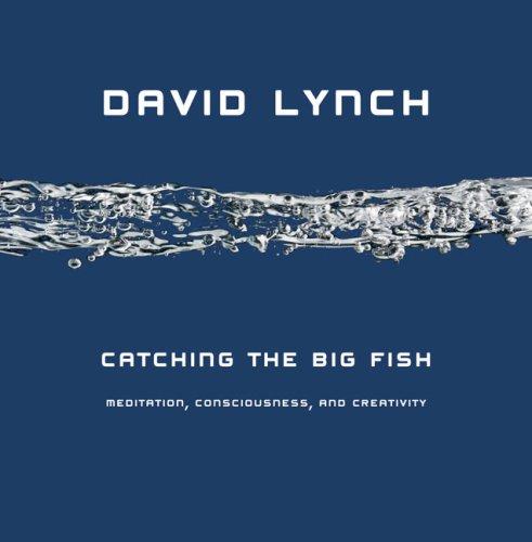 Cover of Catching the Big Fish: Meditation, Consciousness, and Creativity