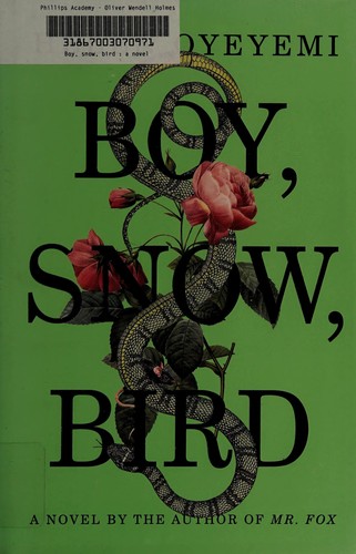 Boy, Snow, Bird