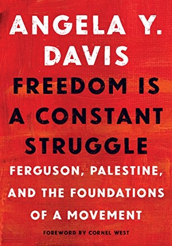 Cover of Freedom is a Constant Struggle: Ferguson, Palestine and the Foundations of a Movement
