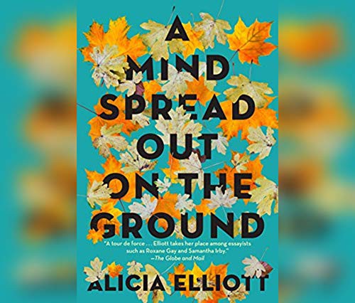 audiobook edition cover