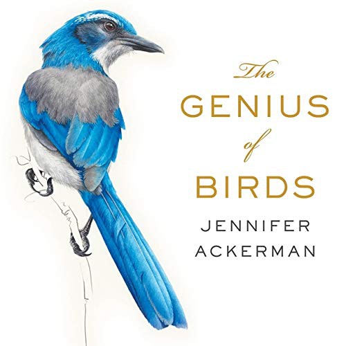 audiobook edition cover