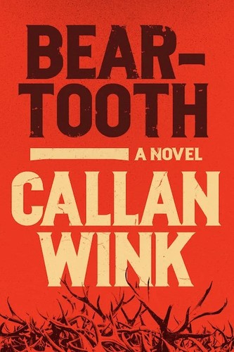 paperback edition cover
