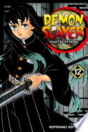 Cover of Demon Slayer: Kimetsu No Yaiba, Vol. 12
