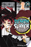 Cover of Demon Slayer: Kimetsu No Yaiba, Vol. 20