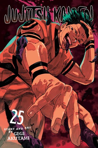 Jujutsu Kaisen, Vol. 25 cover