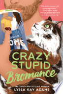 Crazy Stupid Bromance cover