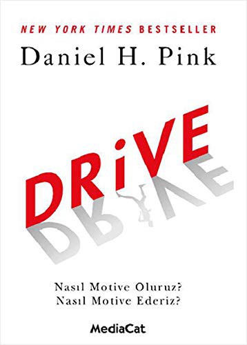 Drive: The Surprising Truth About What Motivates Us